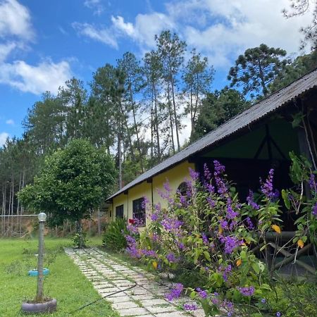 Sitio Cachoeirinha - Araguaia Marechal Floriano Exteriör bild